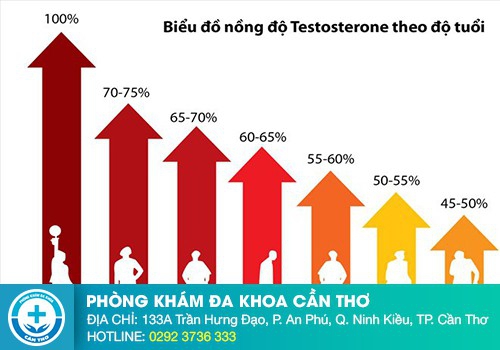 Chỉ số Testosterone