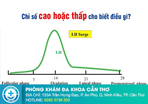 Chỉ số LH